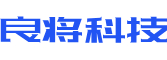 拉萨软件开发公司